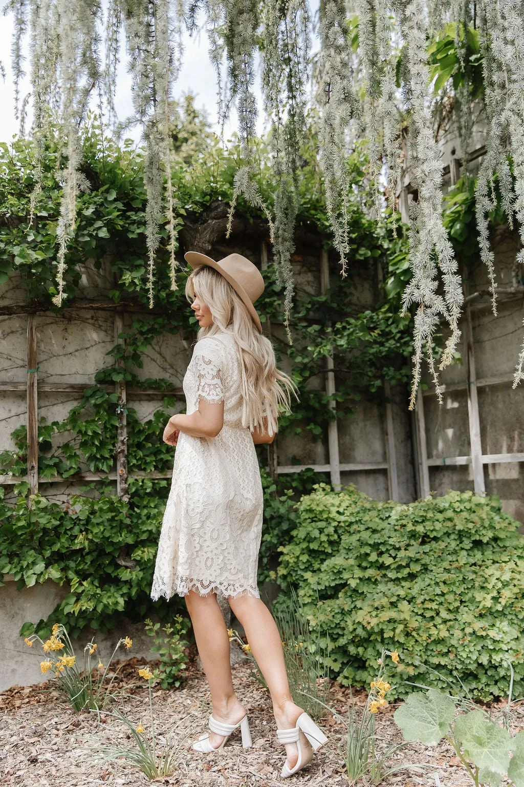 A Dream Is a Wish Lace Dress in Cream