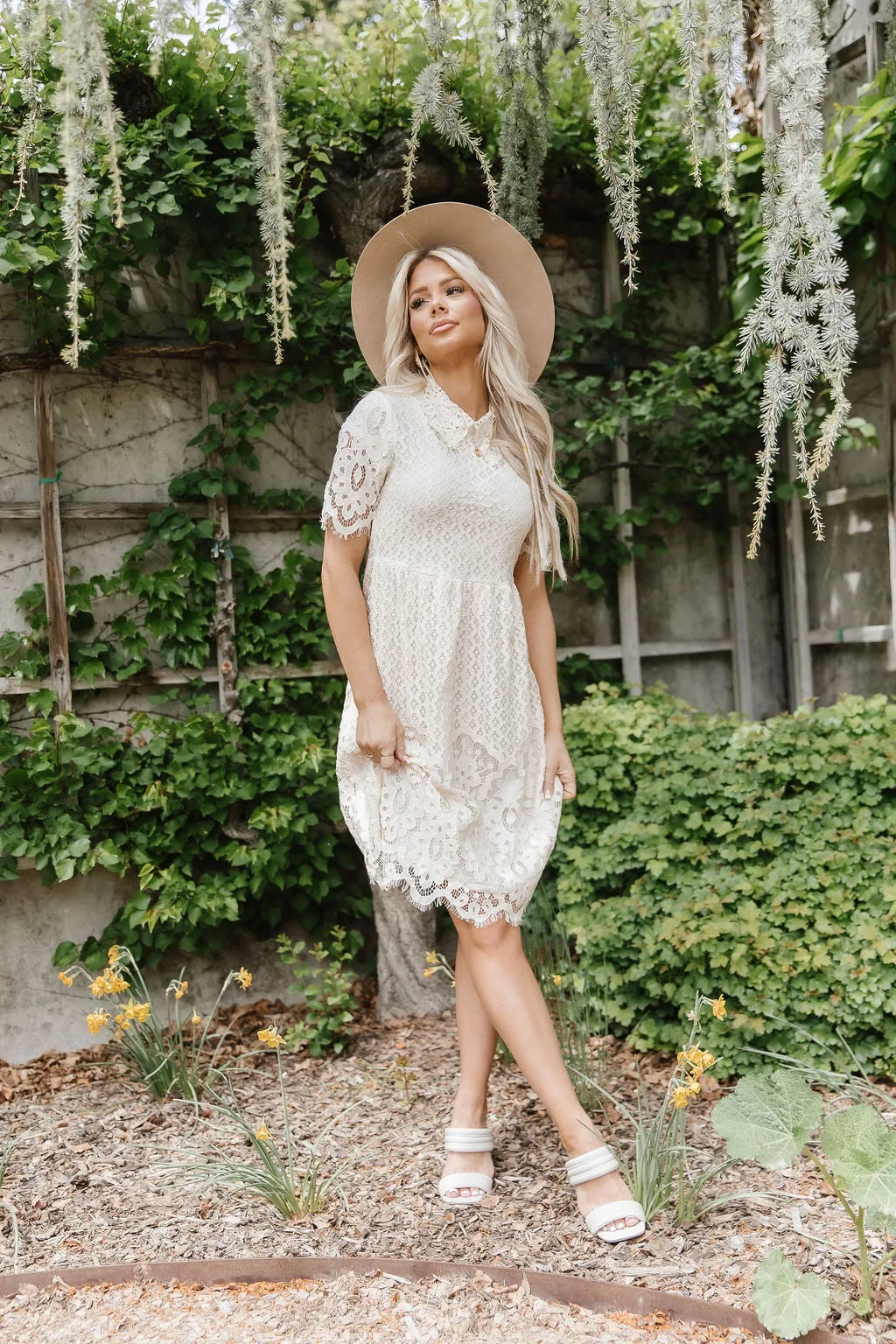 A Dream Is a Wish Lace Dress in Cream