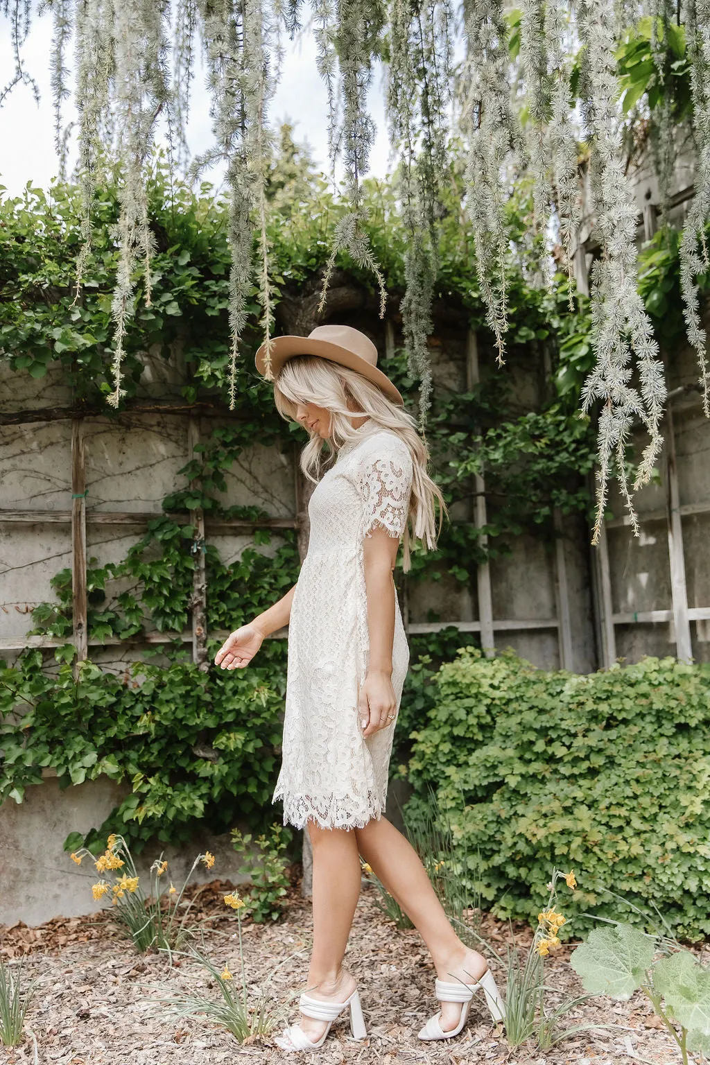 A Dream Is a Wish Lace Dress in Cream