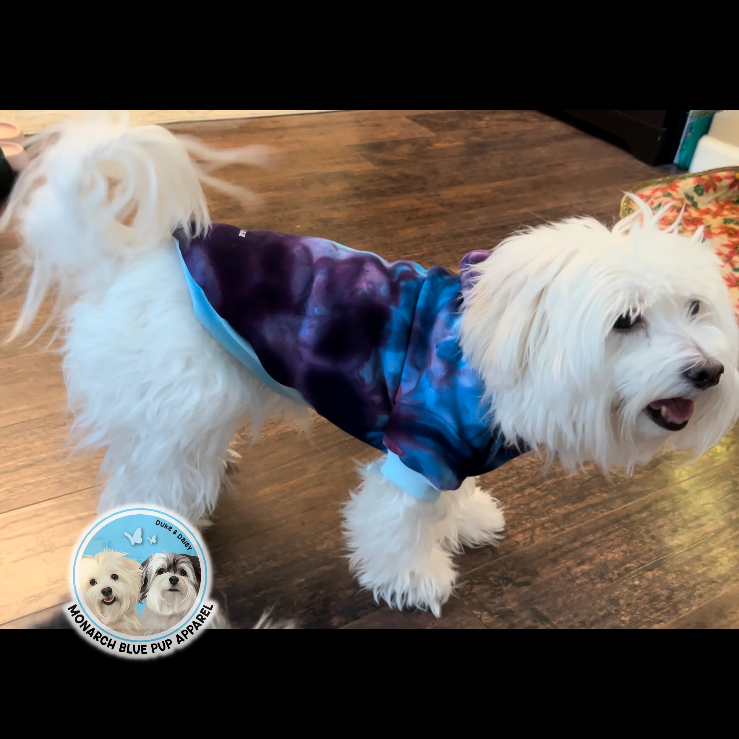 BERRY Pup Hoodie