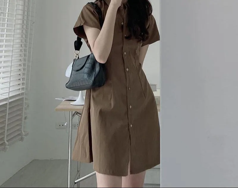 Brown Shirt Dress