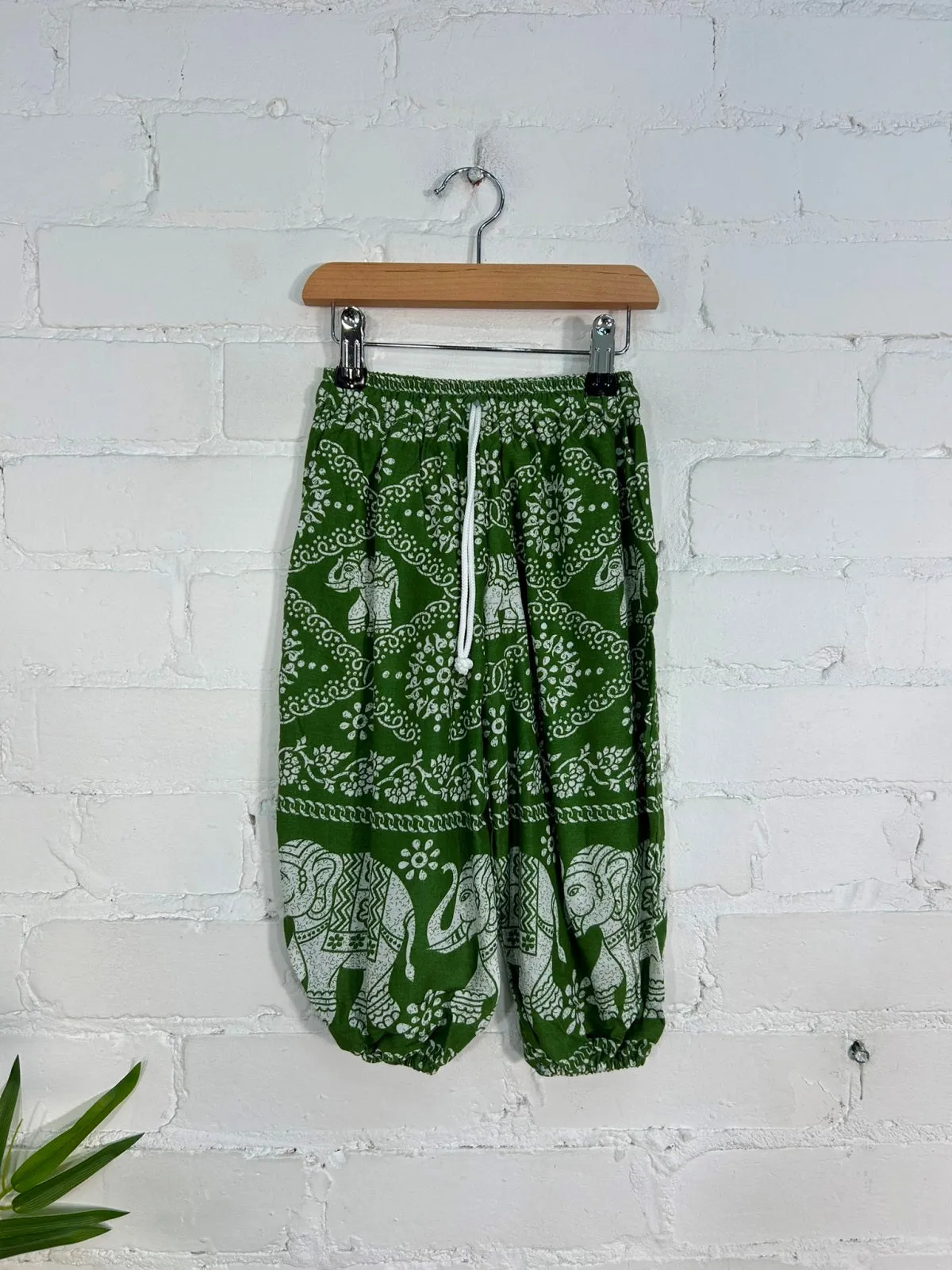 Elephant Harems