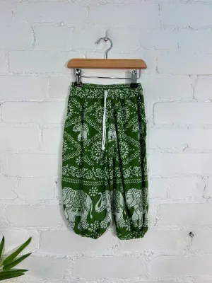 Elephant Harems