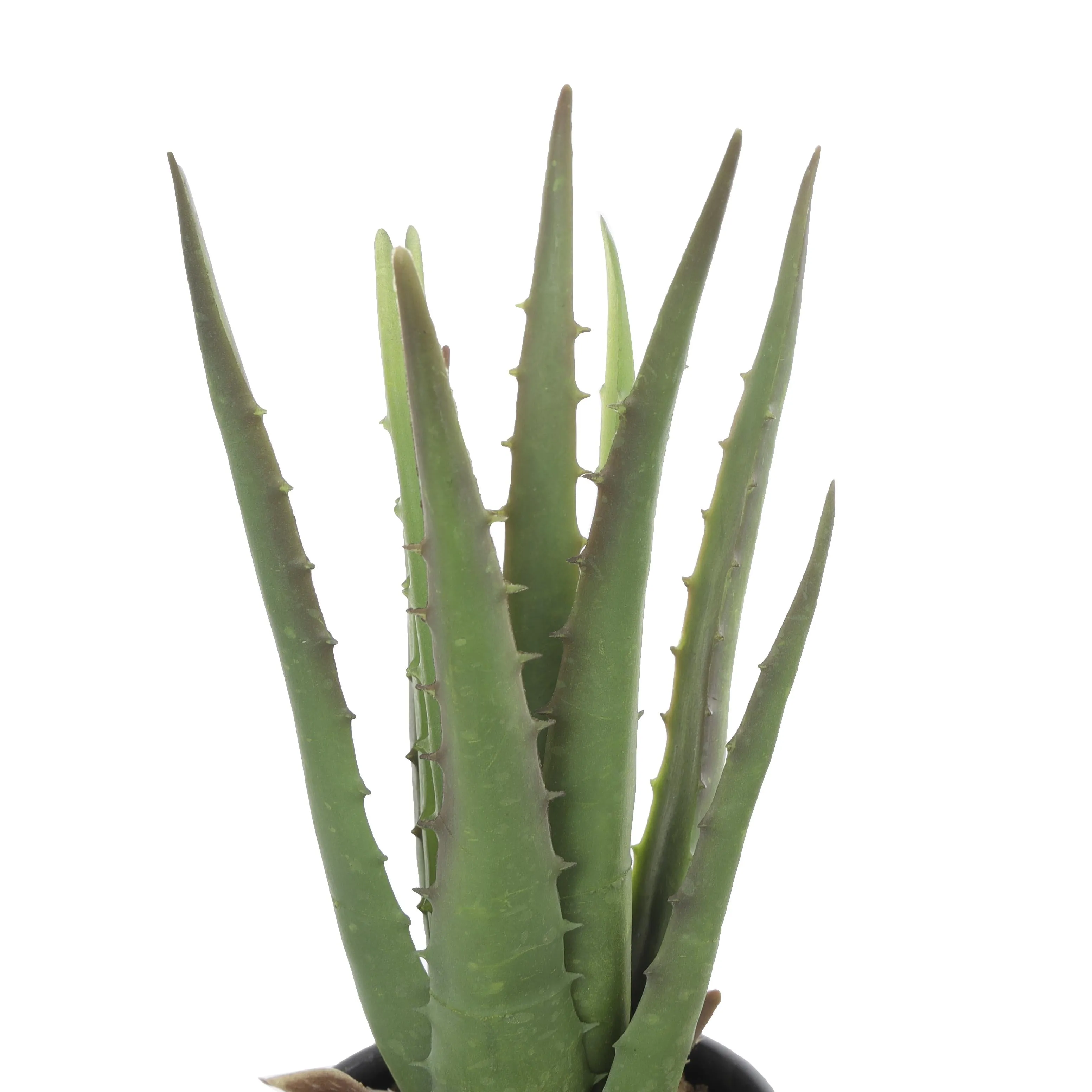 FAUX ALOE IN FACE POT
