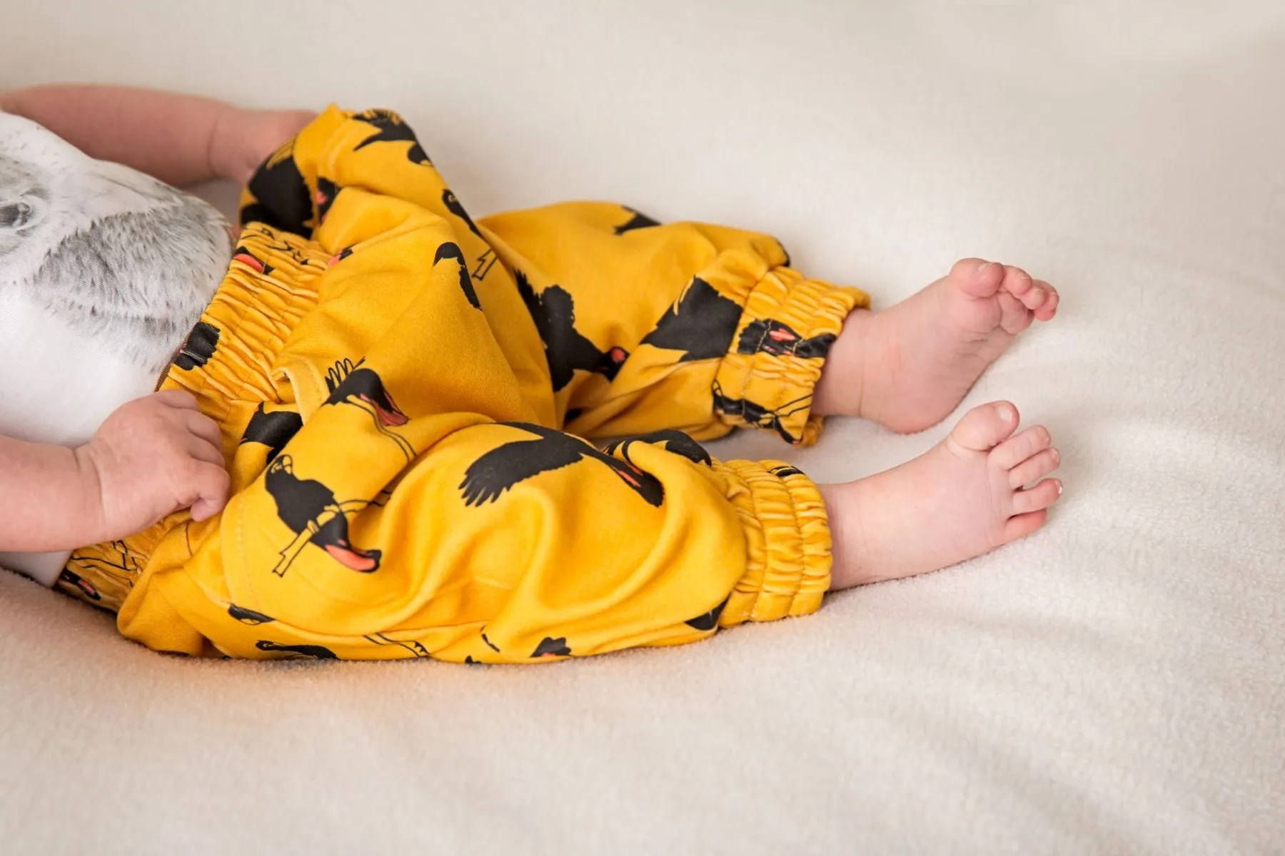 Gang Gang Black Cockatoo | Organic Cotton Harem Pants | Size 000 - 7