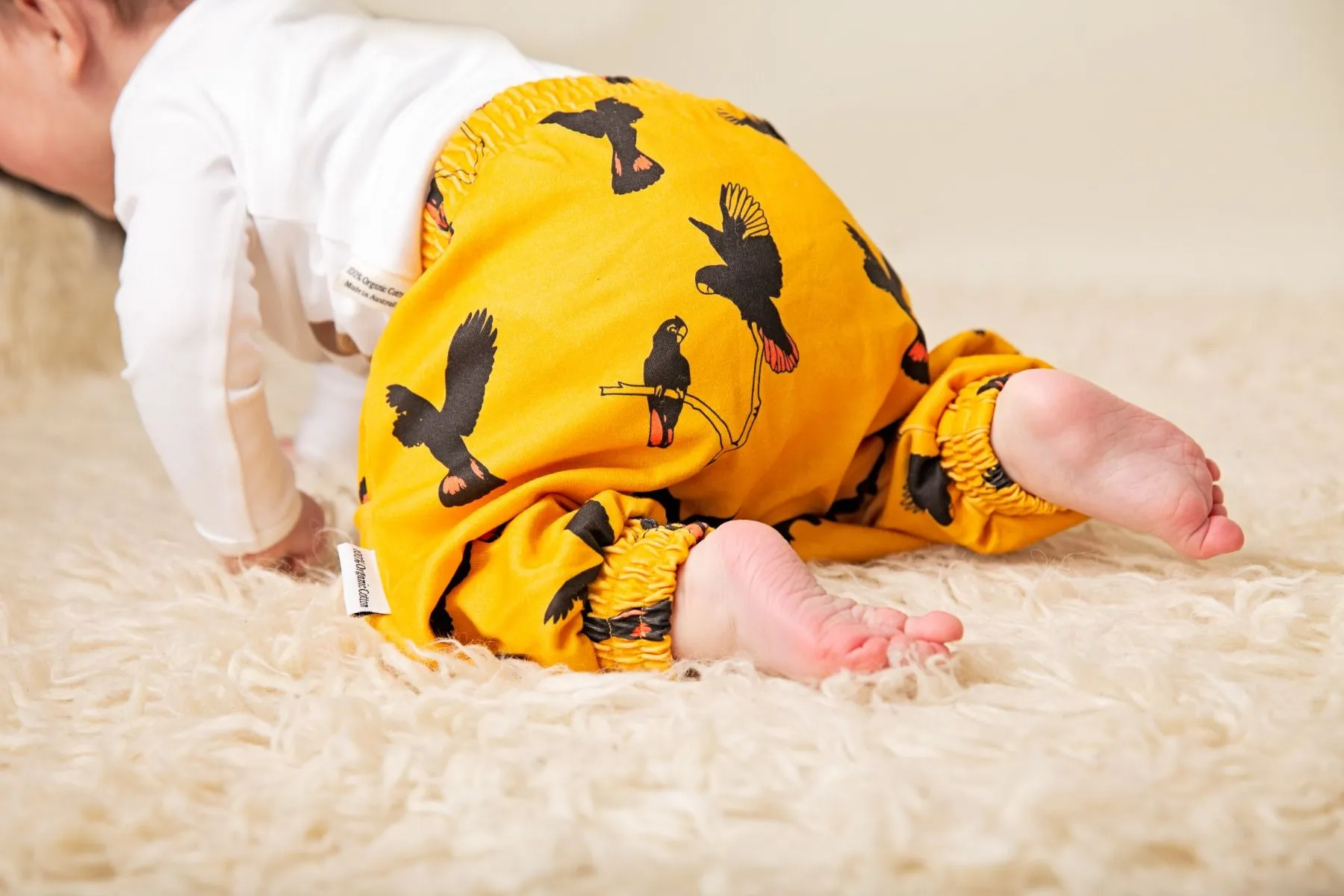 Gang Gang Black Cockatoo | Organic Cotton Harem Pants | Size 000 - 7