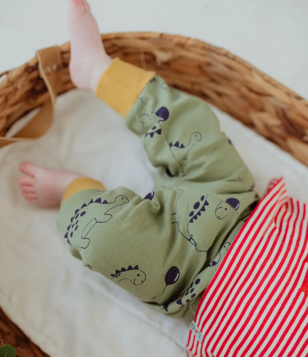 Multicoloured Dinosaur And Stripe Print Leggings - 2 Pack