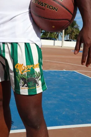NEW Mavrans Men’s Panther Mesh Shorts – Green & White Striped (Size M, $89)