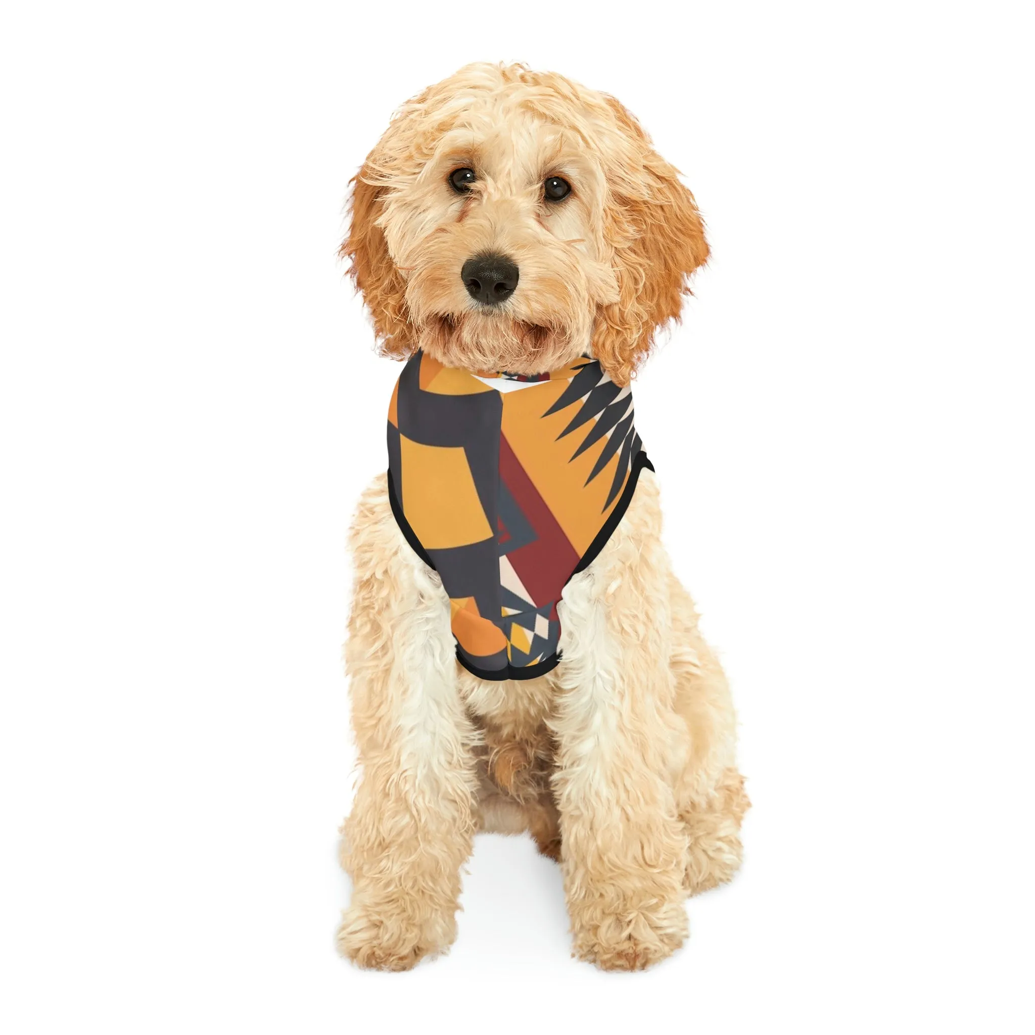 Pendleton Dog Hoodie