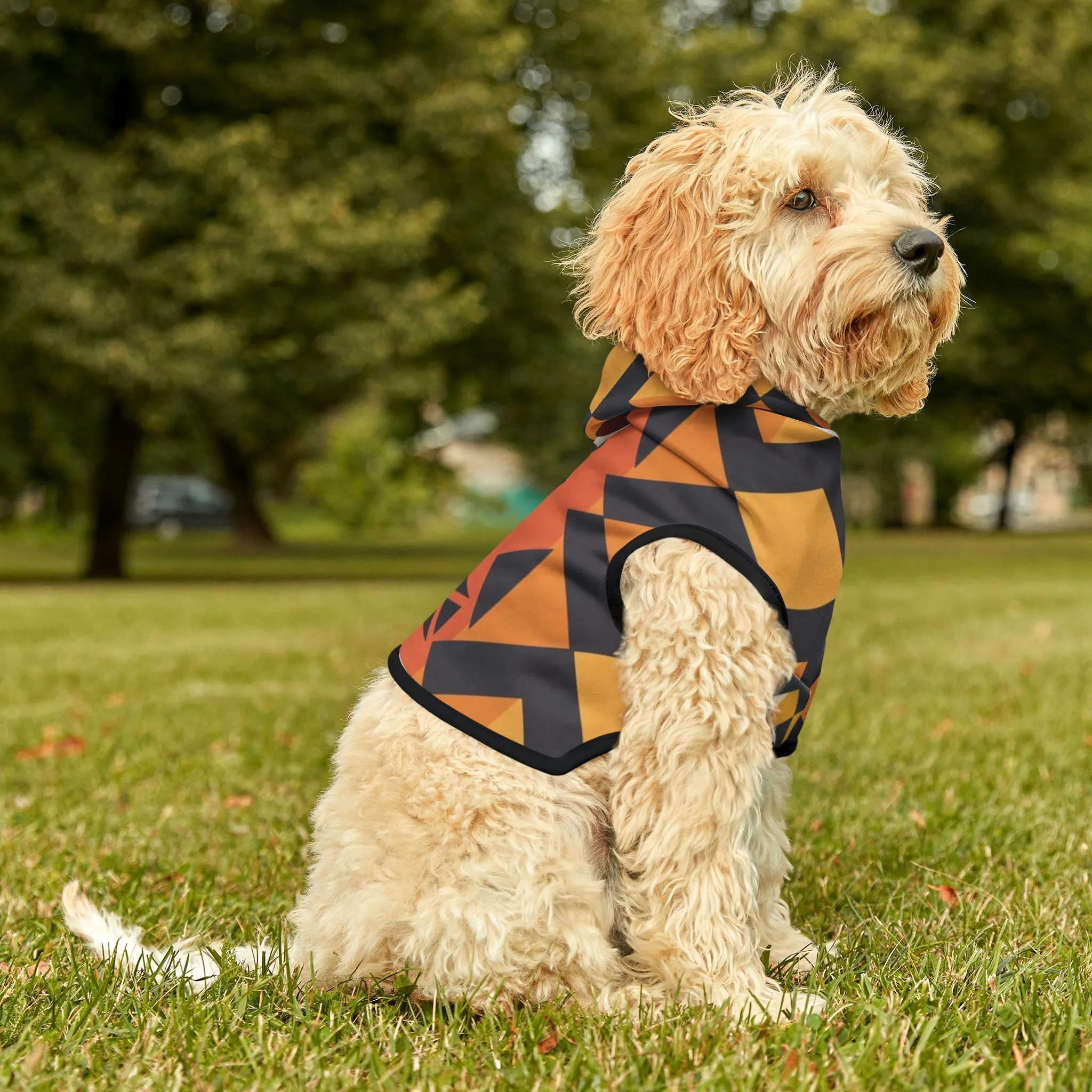 Pendleton Dog Hoodie