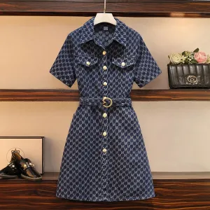 Print Single-breasted Denim Dress