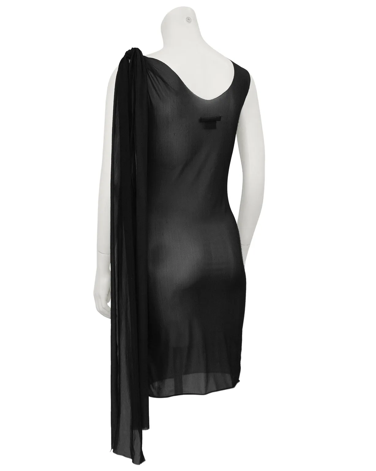 Sheer Black Fragile Dress