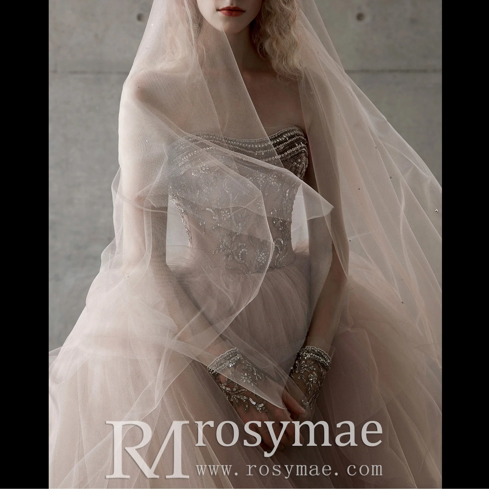 Strapless Party Dresses Evening Gowns Ball Gown Quinceanera Dresses