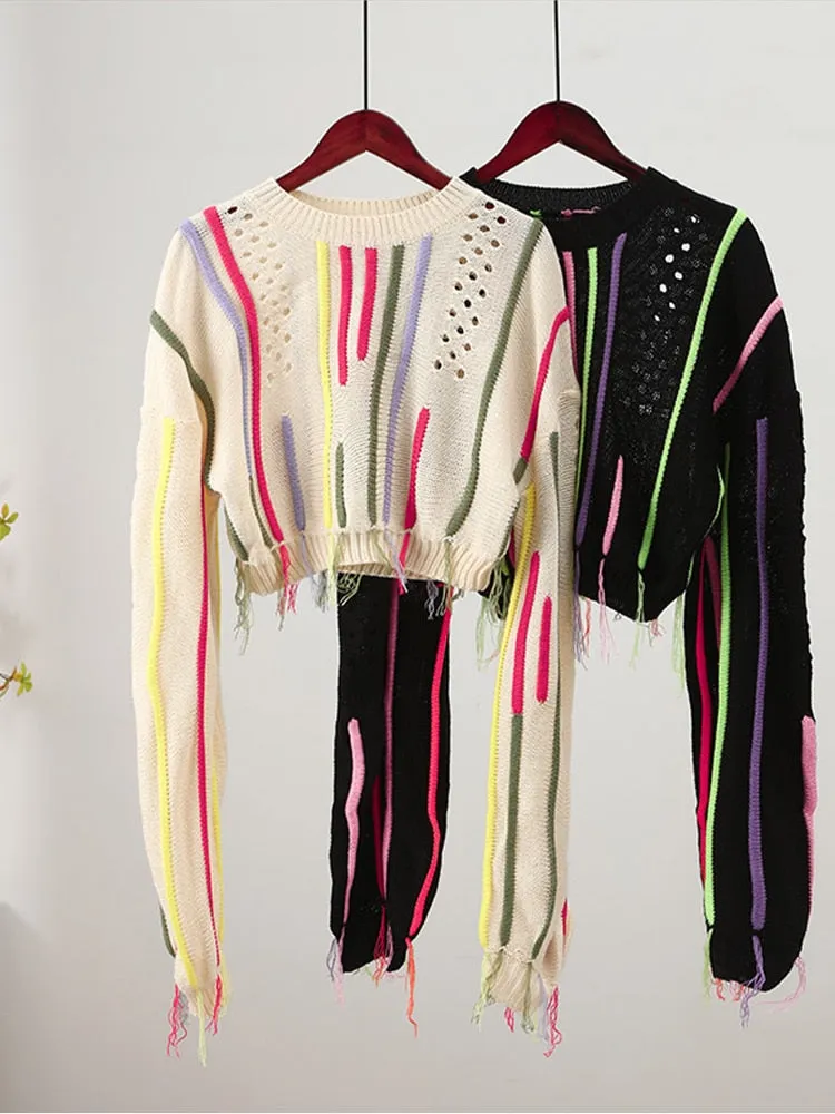 Stylish Fringed Knit Crop Sweater