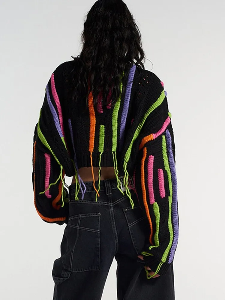 Stylish Fringed Knit Crop Sweater