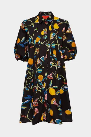 Sunburst Dress in Borboni